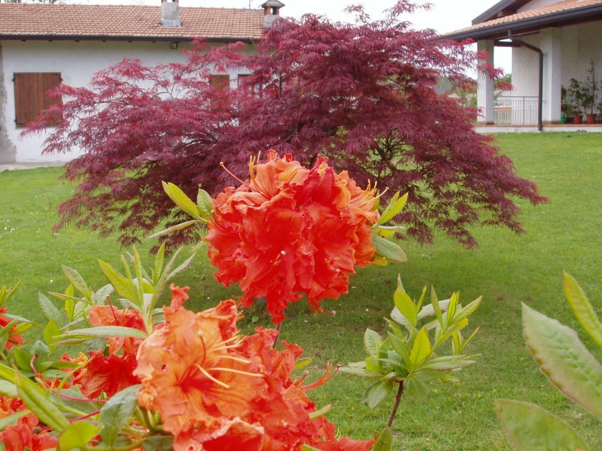 La Casetta Pombia Exterior foto